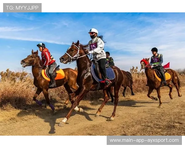 马术比赛裁判对动物福利提出新建议,行业规范化推进